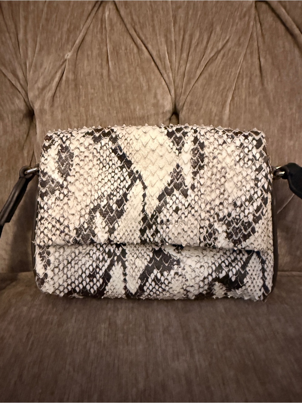 Aimee Kestenberg Black & White Snake-Print Shoulder Bag
